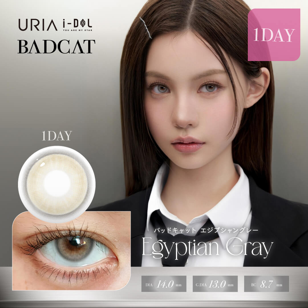 i-DOL バッドキャット エジプシャングレー(ワンデー)